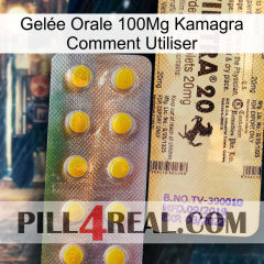 Gelée Orale 100Mg Kamagra Comment Utiliser new06